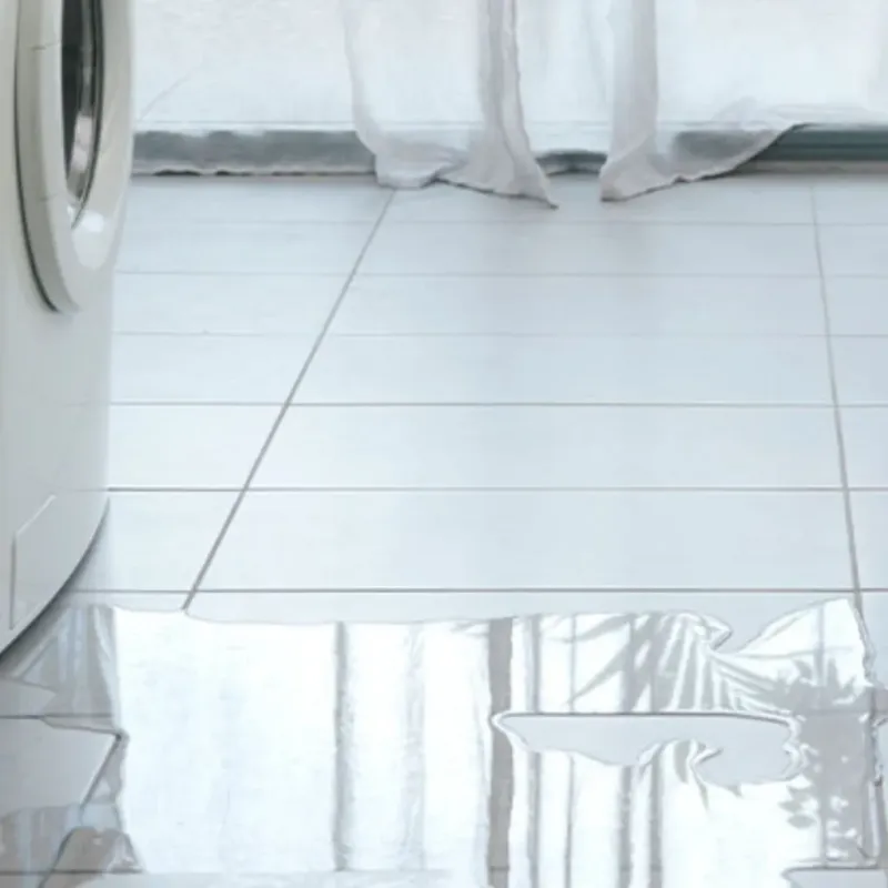 Appliance Leak Cleanup in Weston Lakes, TX