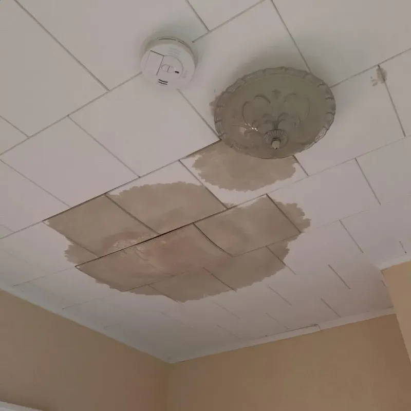 Ceiling Water Damage Repair in Weston Lakes, TX